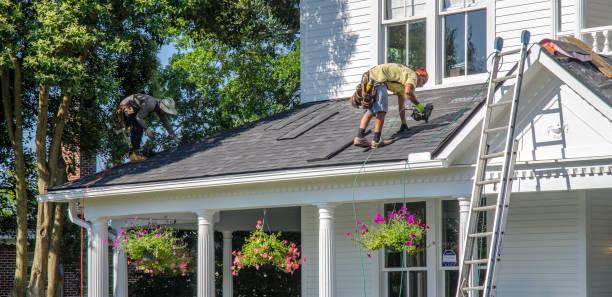 Best Roof Gutter Cleaning  in Moultrie, GA